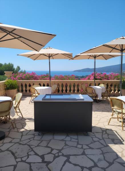 Stand glacier professionnelle mobile pour vente de glaces ou sorbets artisanaux