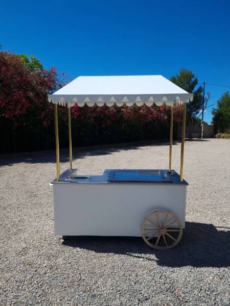 Achat chariot à glace tout équipé pour les professionnels à Nice 06000