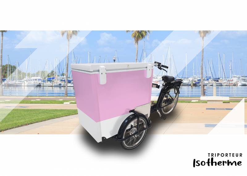 quels sont les meilleurs distributeurs de vélo triporteur électrique isotherme pour les professionnels à Aix en Provence 13