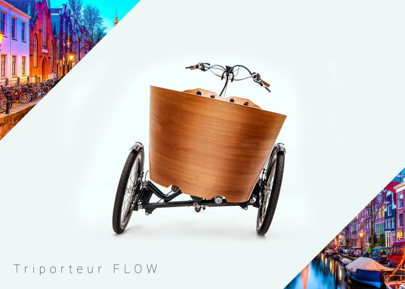 Achat vélo triporteur électrique pour le transport des enfants Paris